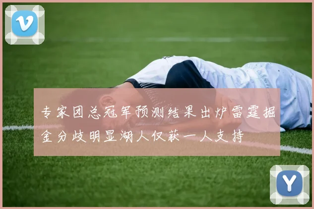 专家团总冠军预测结果出炉雷霆掘金分歧明显湖人仅获一人支持