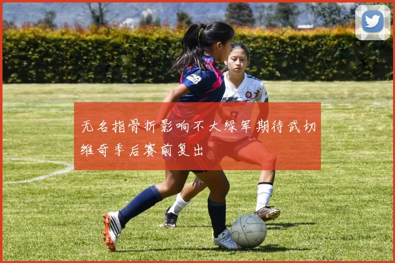 无名指骨折影响不大绿军期待武切维奇季后赛前复出