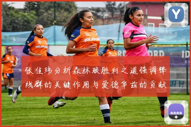 张佳玮分析森林狼胜利之道强调锋线群的关键作用与爱德华兹的贡献